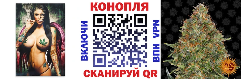 Каннабис план Златоуст